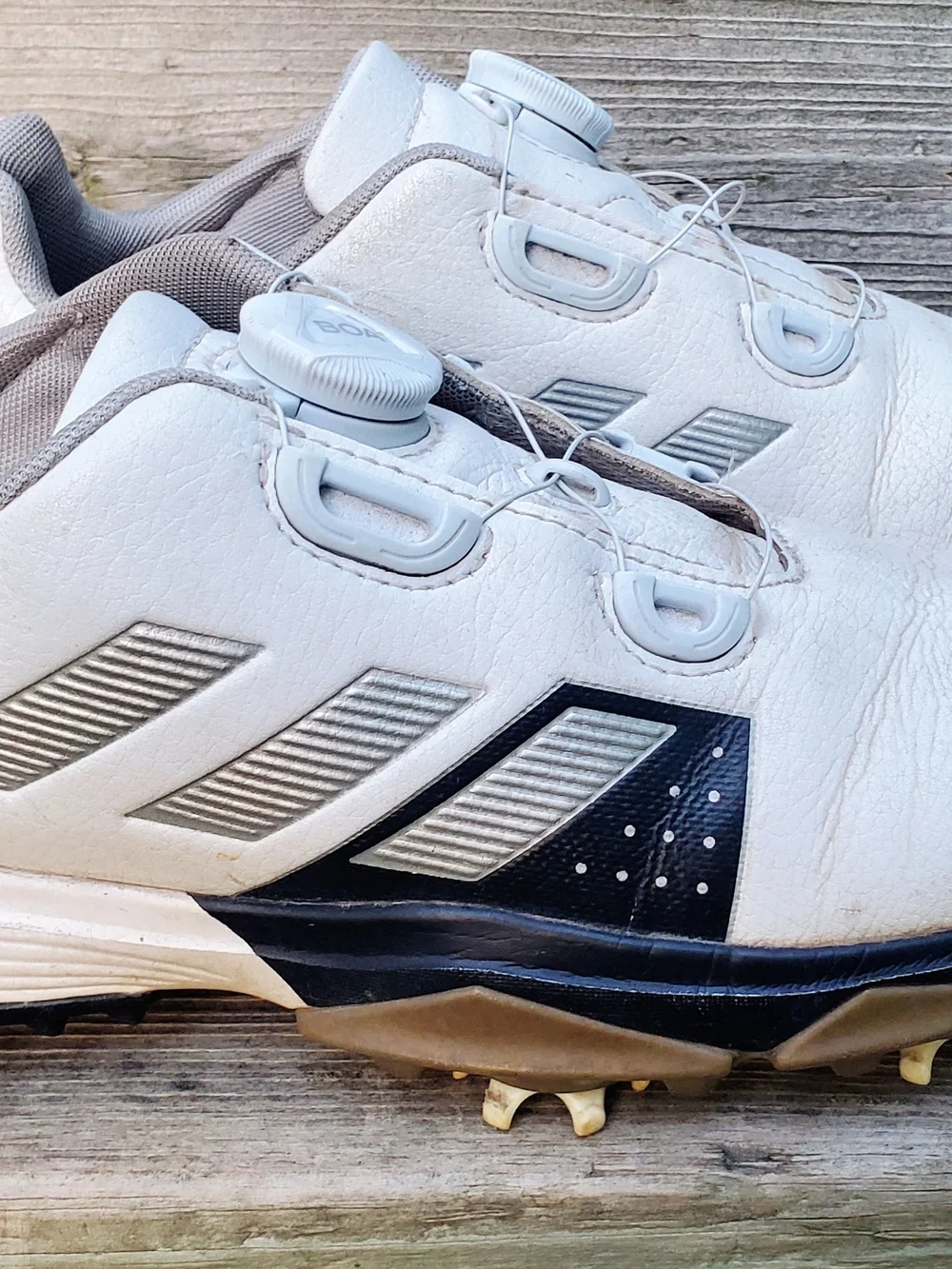 adidas White and Black Men's Golf  Cleats with Boa Closure
